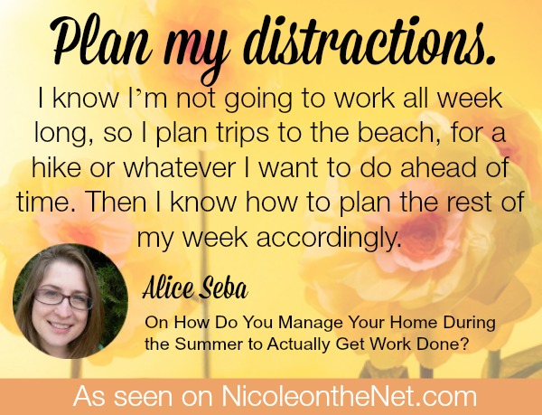 How to Manage Your Home During the Summer To Actually Get Work Done - Alice -052814